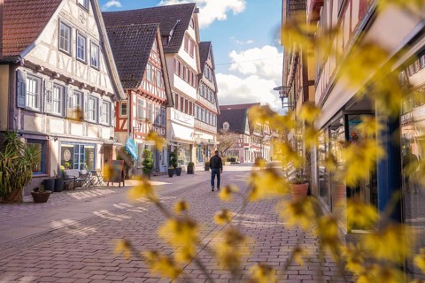 Man walks through a quiet street with traditional half-timbered houses and flowery foreground,