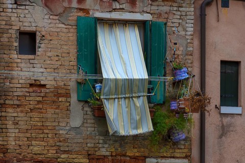 Window with flowers and curtain of a residential building in the old town, Venice, Veneto, Italy