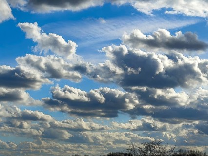 Large cloud field of elongated Stratocumulus in front of a blue sky, international