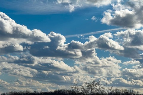 Accumulation of different cumulus clouds, cumulus fractus at the very top, classic cumulus with a
