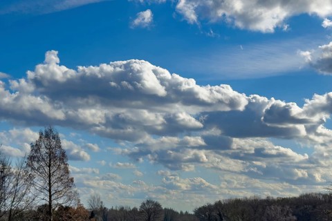Elongated stratocumulus against a blue sky, international