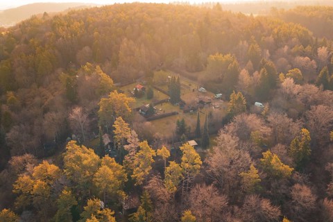 Autumn landscape with cabins surrounded by colorful forest, Aidlingen, Böblingen District, Germany