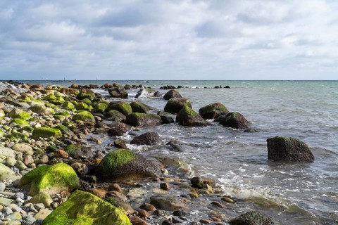 Foundlings on Gakower Ufer, Sassnitz, Jasmund National Park, Rügen, island, Baltic Sea,