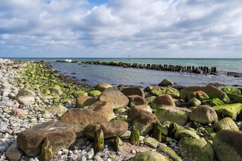 Wooden groves and boulders on Gakower Ufer, Sassnitz, Jasmund National Park, Rügen, island, Baltic