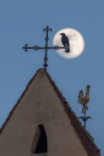 Corvus corone Corvus corone sits on a cross above the roof. The full moon shines in the sky behind