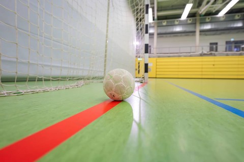 A handball is on a red stripe close to a goal in a hall, handball, Calw, Germany