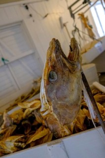 Stockfish Museum, Lofoten Tørrfiskmuseum i Å, Lofoten, Nordland, Norway