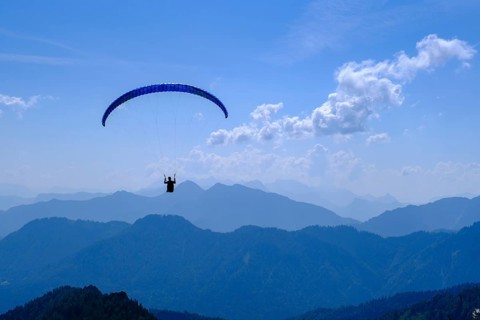 Paragliders in front of the Chiemgau Alps, on Hochfelln, Bergen, Chiemgau, Upper Bavaria, Bavaria,