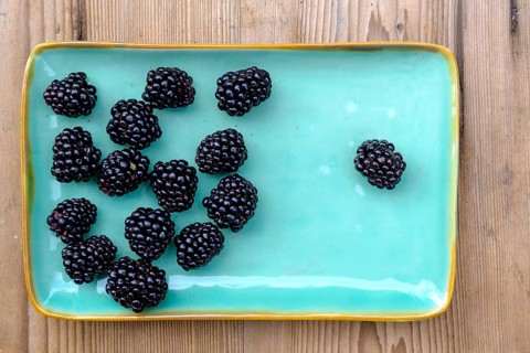 Blackberries, fruit, berries, in the garden, food, Upper Bavaria, Bavaria, Germany
