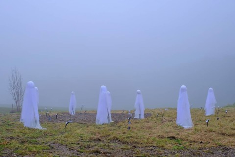 Geister im fog, Halloween, Haunted, Mystical, Samerberg, Upper Bavaria, Bavaria, Germany