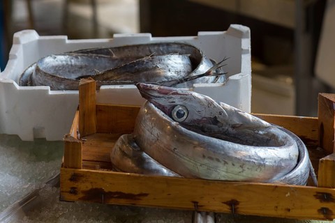 Fresh eels (Anguilla, Anguillidae), Rialto fish market in the San Polo district, Venice, Veneto,