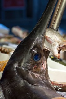 Fresh swordfish (Xiphias gladius), fish market, Rialto market in the San Polo district, Venice,