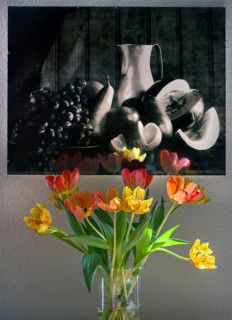 Tulips (Tulipa) in a glass vase in front of a Sillleben photograph, Bavaria, Germany