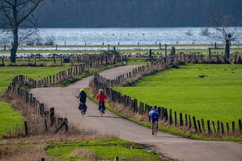 Bislicher Insel, in winter, floods in the floodplains due to Rhine flooding, nature reserve on the