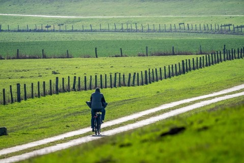 The Bislicher Insel, in winter, dyke path, nature reserve on the Rhine, Altrheinarm, near Xanten,