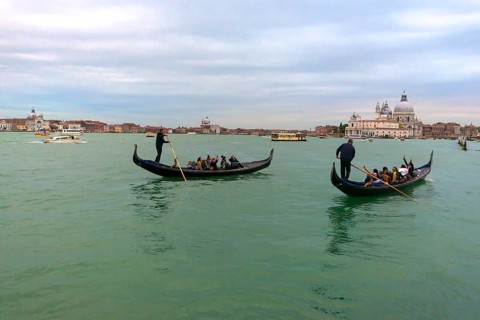 Two gondolas with tourists, right Santa Maria della Salute, Venice, Veneto, Italy