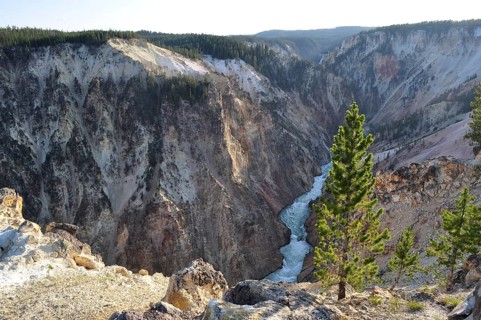 Deep, wooded gorge with a flowing river between steep, rocky cliffs, Grand Canyon of the