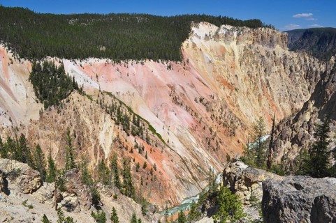 A colorful canyon with steep cliffs and trees under a clear blue sky, Grand Canyon of the