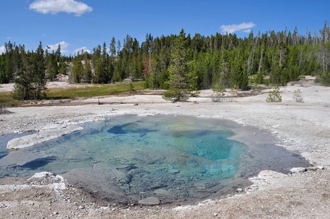 Turquoise hot spring surrounded by woodland, Yellowstone National Park, Wyoming, USA