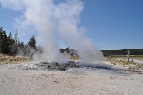 Geyser expels steam into the air and shows geothermal activity in natural environments, Yellowstone
