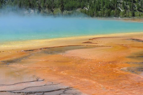 Colourful hot spring with orange and yellow banks and surrounding trees, Grand Prismatic Spring,