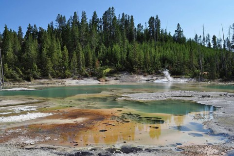 Greenish hot springs in the midst of a volcanic forest landscape, surrounded by steam and bright