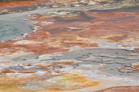Colourful volcanic mineral area with diverse shades of color and water accumulation, Yellowstone