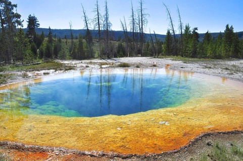 A hot spring surrounded by trees with blue water and vivid yellow and green edges, Yellowstone