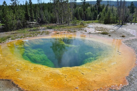 A hot spring, Morning Glory Pool, in a wooded area showing brilliant green and orange stains in the