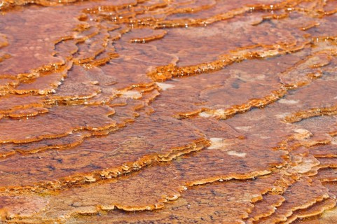 Brown-orange volcanic deposits with terrace structure in water and natural texture, Yellowstone