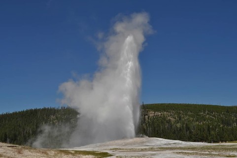 A geyser erupts and blows a high cloud of steam into the clear blue sky, Old Faithful, Yellowstone