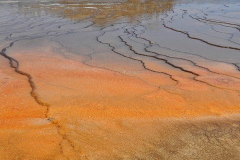 Earth-colored mineral deposits form unique natural patterns in a geothermal spring, Yellowstone