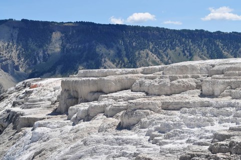 Whitewashed volcanic terraces with forest in the background and blue sky, Yellowstone National