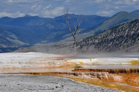 Colored hot springs with a dead tree and mountains in the background and steamy atmosphere,