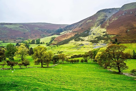 Autumn colors over Farms and Fields, Wales, UK