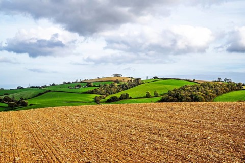 Colours of Devon Farms and Fields over Paignton and Berry Pomeroy, Totnes, England, United Kingdom