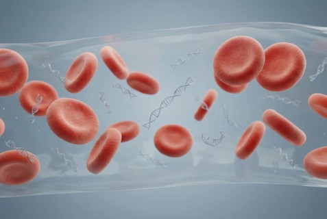 Microscopic scene in the bloodstream: Tiny fragments of mutated cell-free tumour DNA (ctDNA)