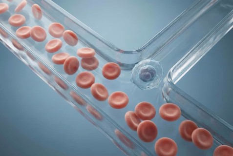 Extreme close-up of microfluidic blood cell sorting, in which an artificial lab-on-a-chip