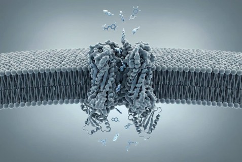 Molecular close-up of a bacterium's cell membrane showing an active efflux pump protein that pumps