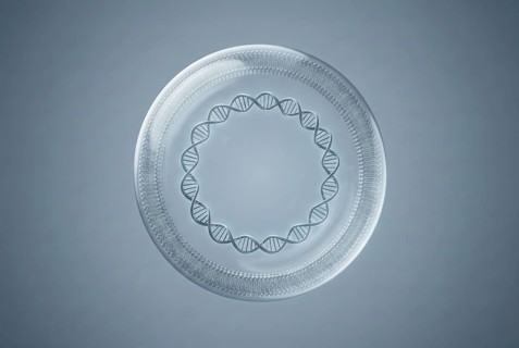 Conceptual microscopic visualization of a synthetic minimal cell: A bacterium created in a