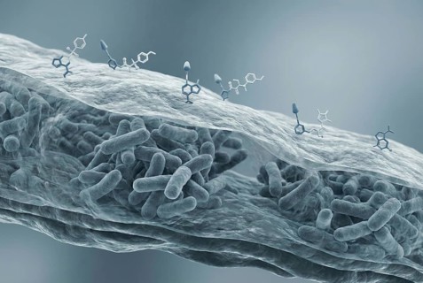 Microscopic view of a dense, impenetrable biofilm (extracellular polymeric substance) that protects