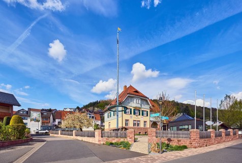 Town hall, maypole, streets, commercial buildings, residential buildings, single-family house,