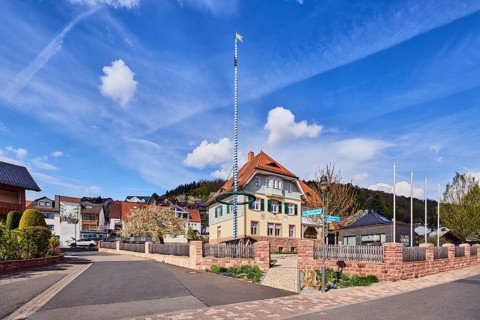 Town hall, maypole, sandstone wall, wooden fence, roads, commercial buildings, residential