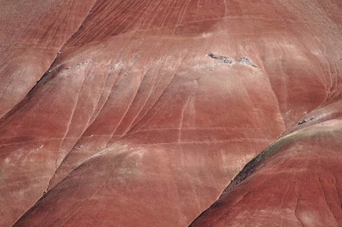 Detailed view of sediment layers and textures of a red hill in the Painted Hills, John Day Fossil