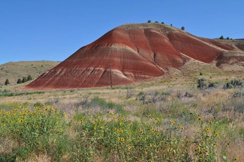 Red hills of Painted Hills surrounded by yellow sunflowers and barren vegetation, John Day Fossil