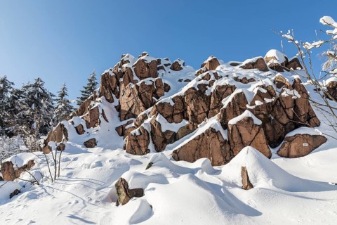 Kleiner Lugstein, sunny winter landscape with snow-covered trees, bushes, trails and branches