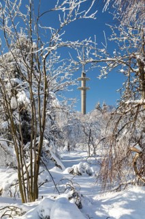 Radio tower on Lugstein, sunny winter landscape with snow-covered trees and branches covered with