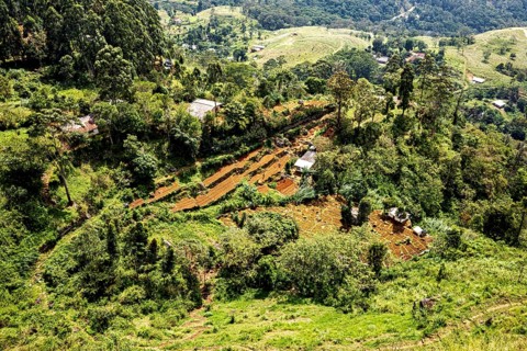 Dense green forest and hilly landscape with scattered buildings and clear plains, fields and