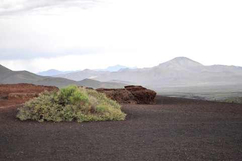 Vegetation grows on dark, volcanic soil under cloudy skies, Craters of the Moon National Monument,