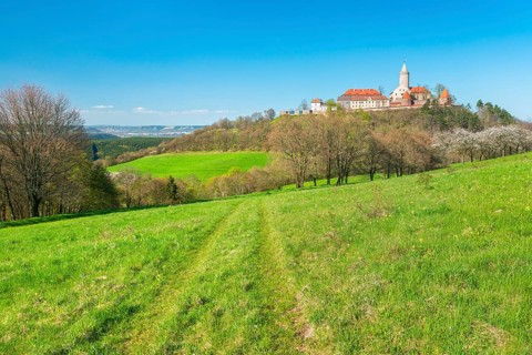 View of hilly landscape with green meadows and blooming cherry trees at Leuchtenburg in spring,